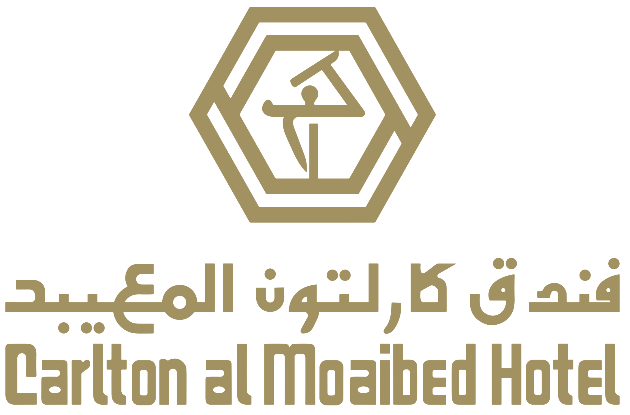 Partner Logo